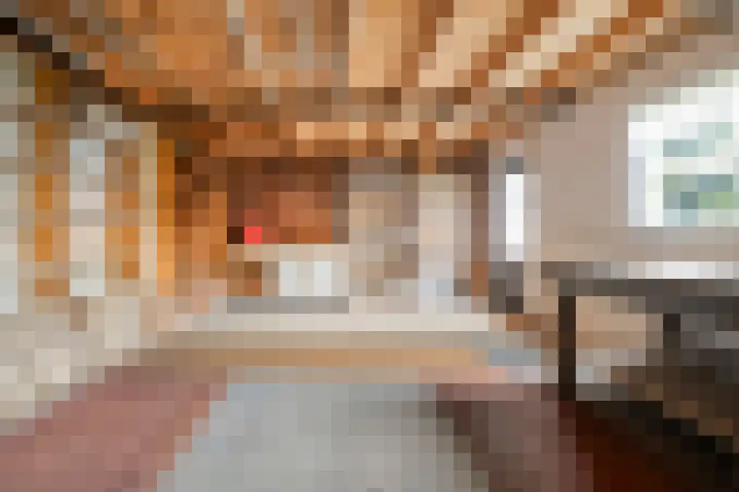 Haverweg 25 Hengelo thumbnail 48