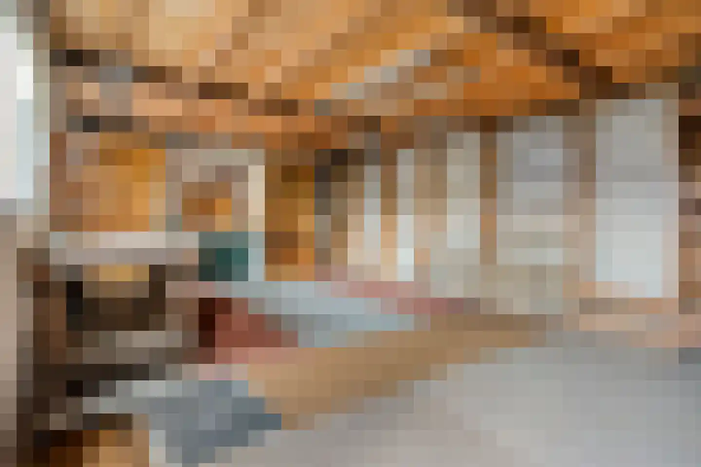 Haverweg 25 Hengelo thumbnail 49