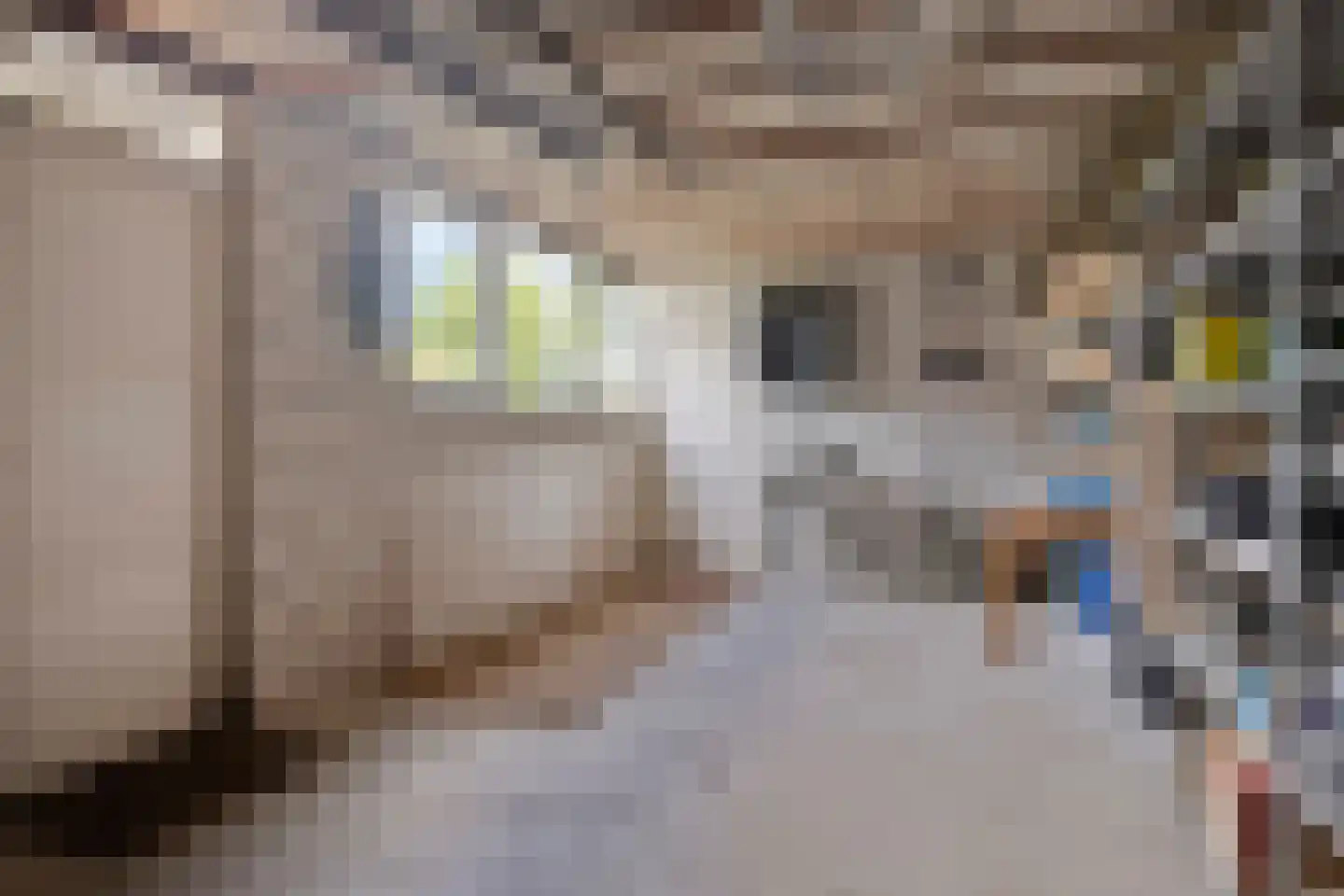 Haverweg 42 Hengelo thumbnail 36
