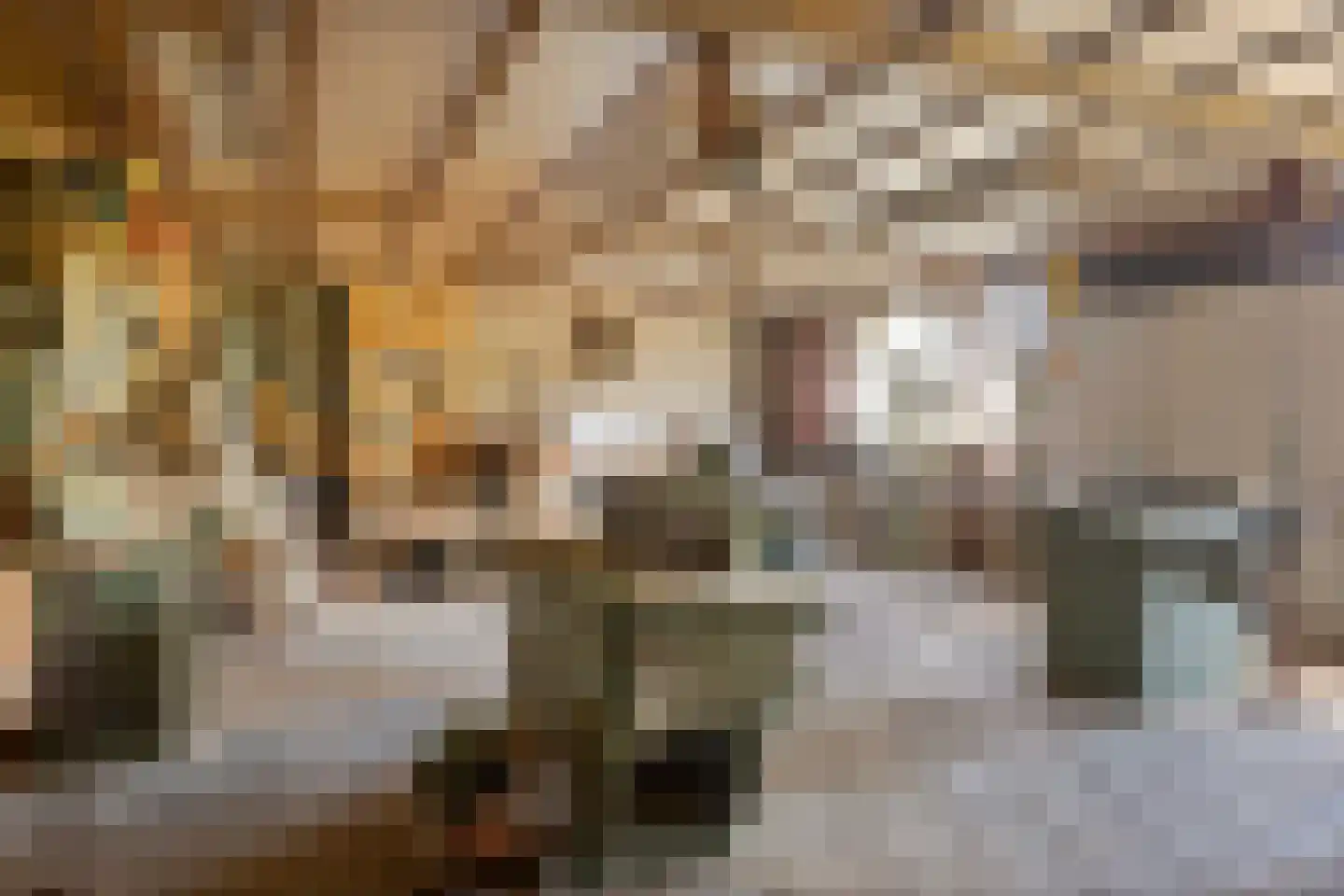 Haverweg 42 Hengelo thumbnail 40