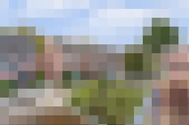 Havezatedrift 21 Nieuwegein thumbnail 20