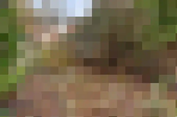 Havezatedrift 21 Nieuwegein thumbnail 33