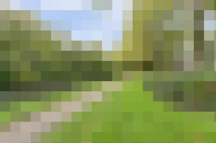Havezatedrift 21 Nieuwegein thumbnail 39