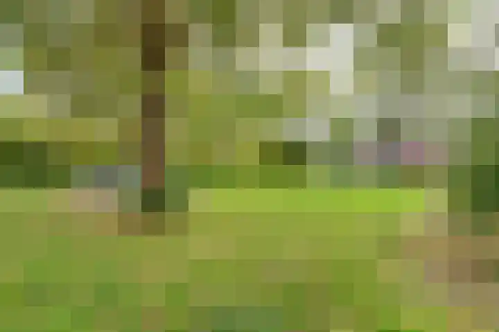 Havezatedrift 21 Nieuwegein thumbnail 40