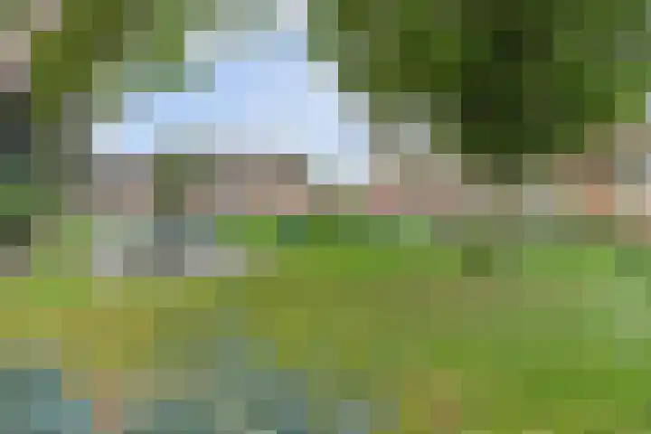 Havezatedrift 21 Nieuwegein thumbnail 5