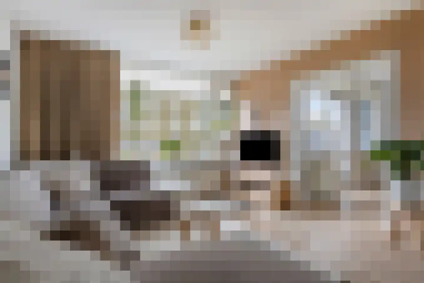 Havezatelaan 103 Deventer thumbnail 15