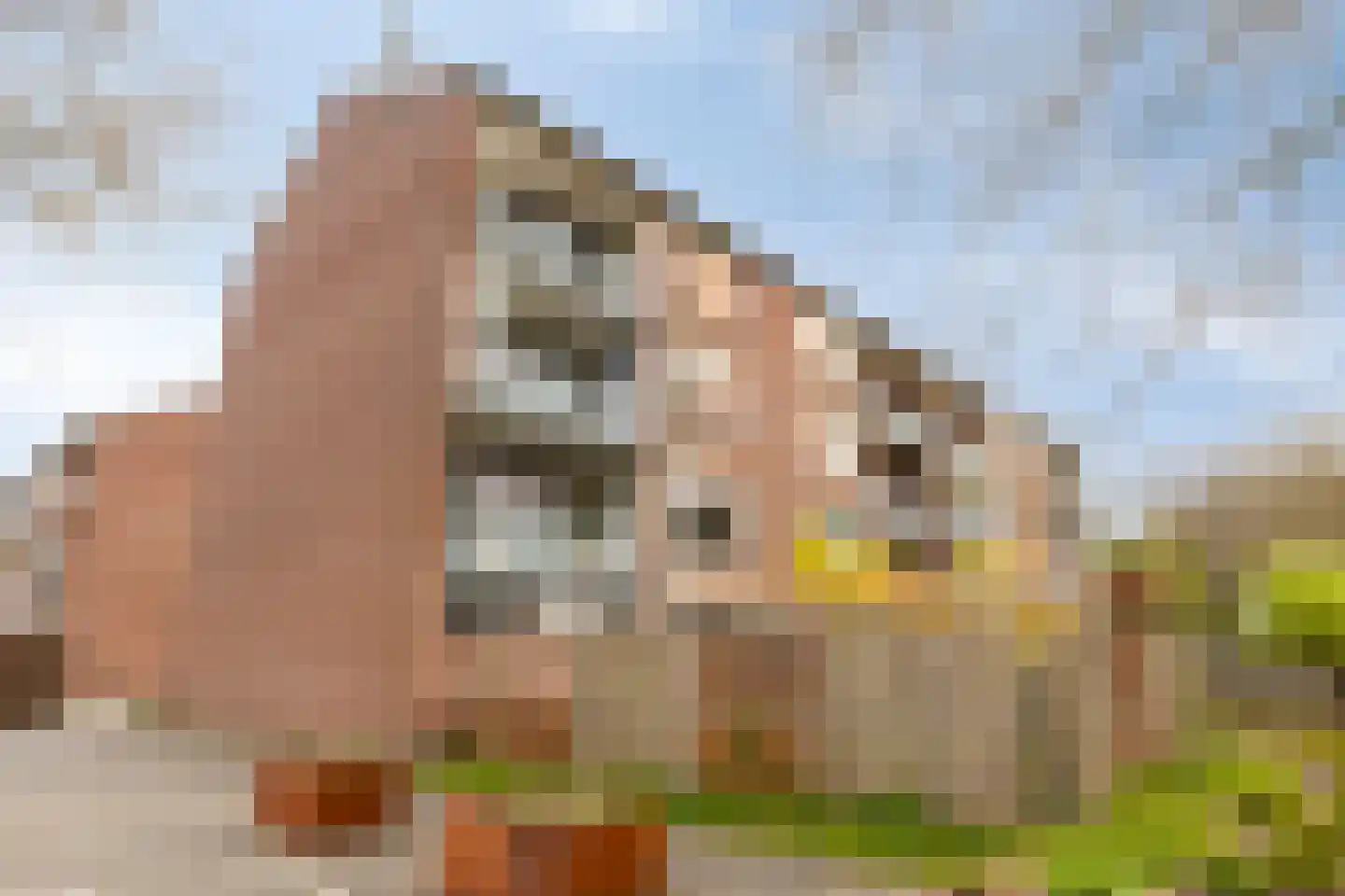 Havezatelaan 103 Deventer thumbnail 32