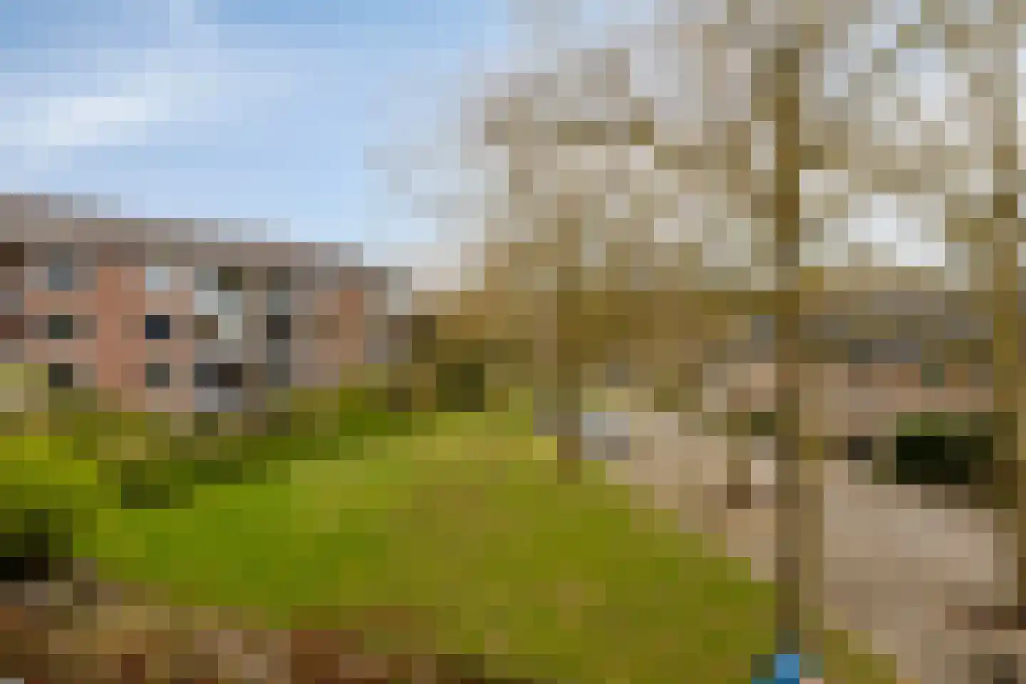 Havezatelaan 103 Deventer thumbnail 33