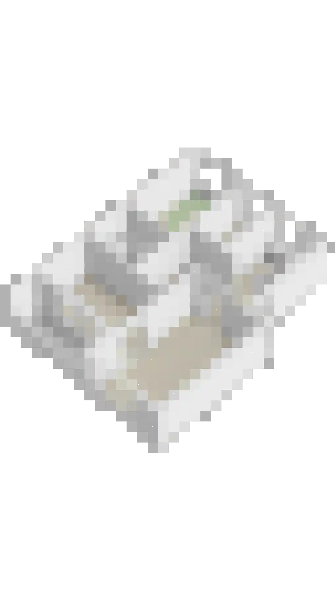 Havezatelaan 103 Deventer thumbnail 36