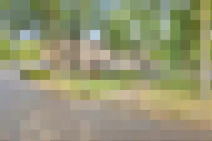 Havezatelaan 139 Deventer thumbnail 27