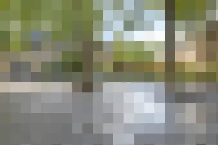 Havezatelaan 139 Deventer thumbnail 28