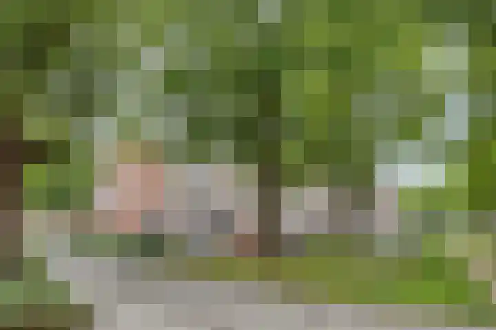 Havezatelaan 181 Deventer thumbnail 12