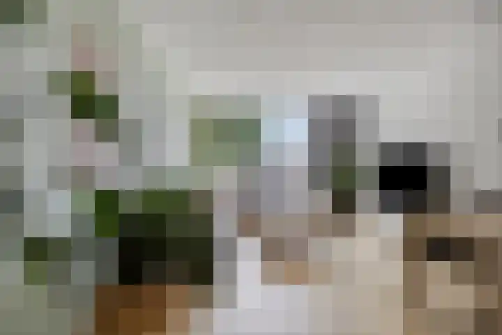 Havezatelaan 181 Deventer thumbnail 17