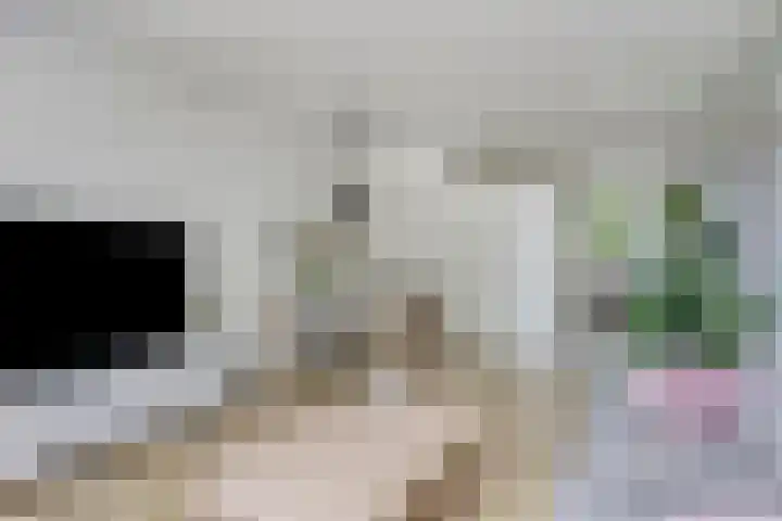 Havezatelaan 181 Deventer thumbnail 18