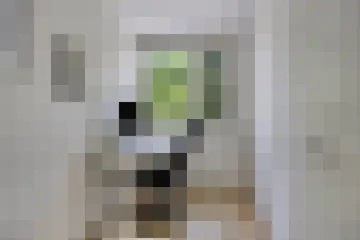 Havezatelaan 181 Deventer thumbnail 22