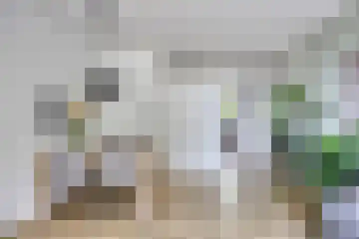 Havezatelaan 181 Deventer thumbnail 4