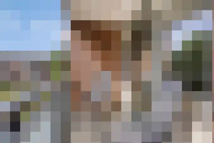 Havezatelaan 181 Deventer thumbnail 5