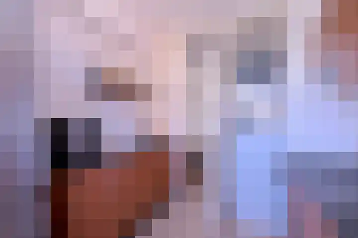 Havezatelaan 237 Deventer thumbnail 16