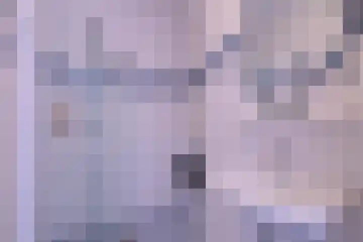 Havezatelaan 237 Deventer thumbnail 23
