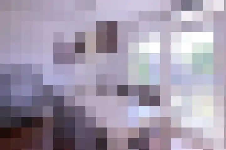 Havezatelaan 237 Deventer thumbnail 8