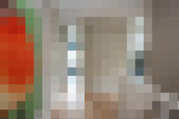 Havezatestraat 19 Tubbergen thumbnail 22