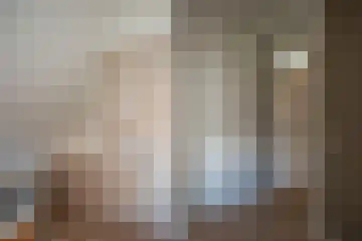 Havezatestraat 19 Tubbergen thumbnail 34