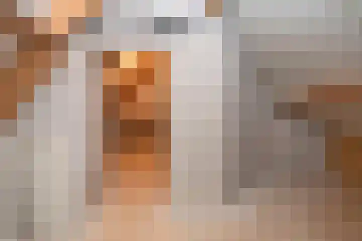 Havezatestraat 19 Tubbergen thumbnail 36