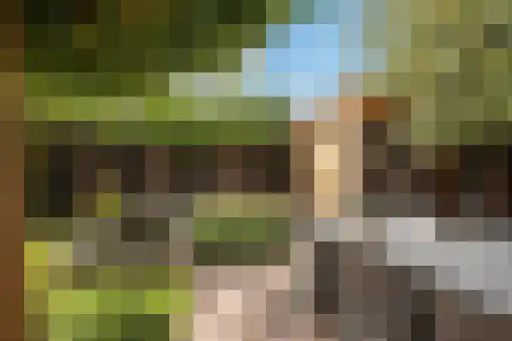 Havezatestraat 19 Tubbergen thumbnail 38