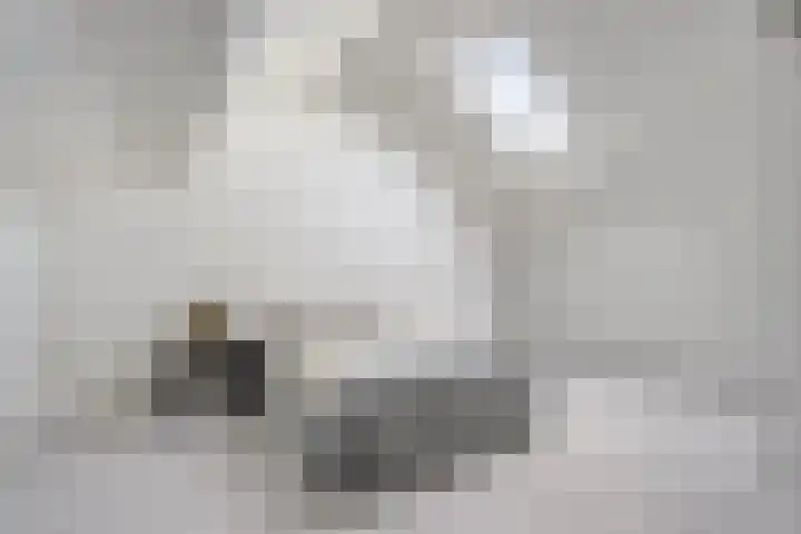 Havezatestraat 31 Tubbergen thumbnail 17