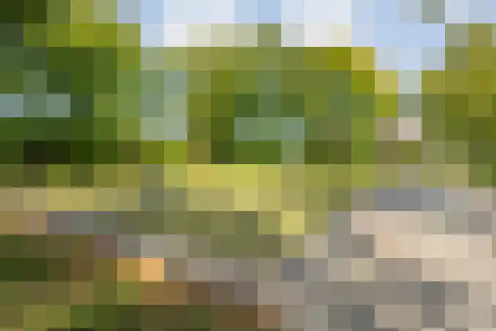 Havezatestraat 31 Tubbergen thumbnail 26