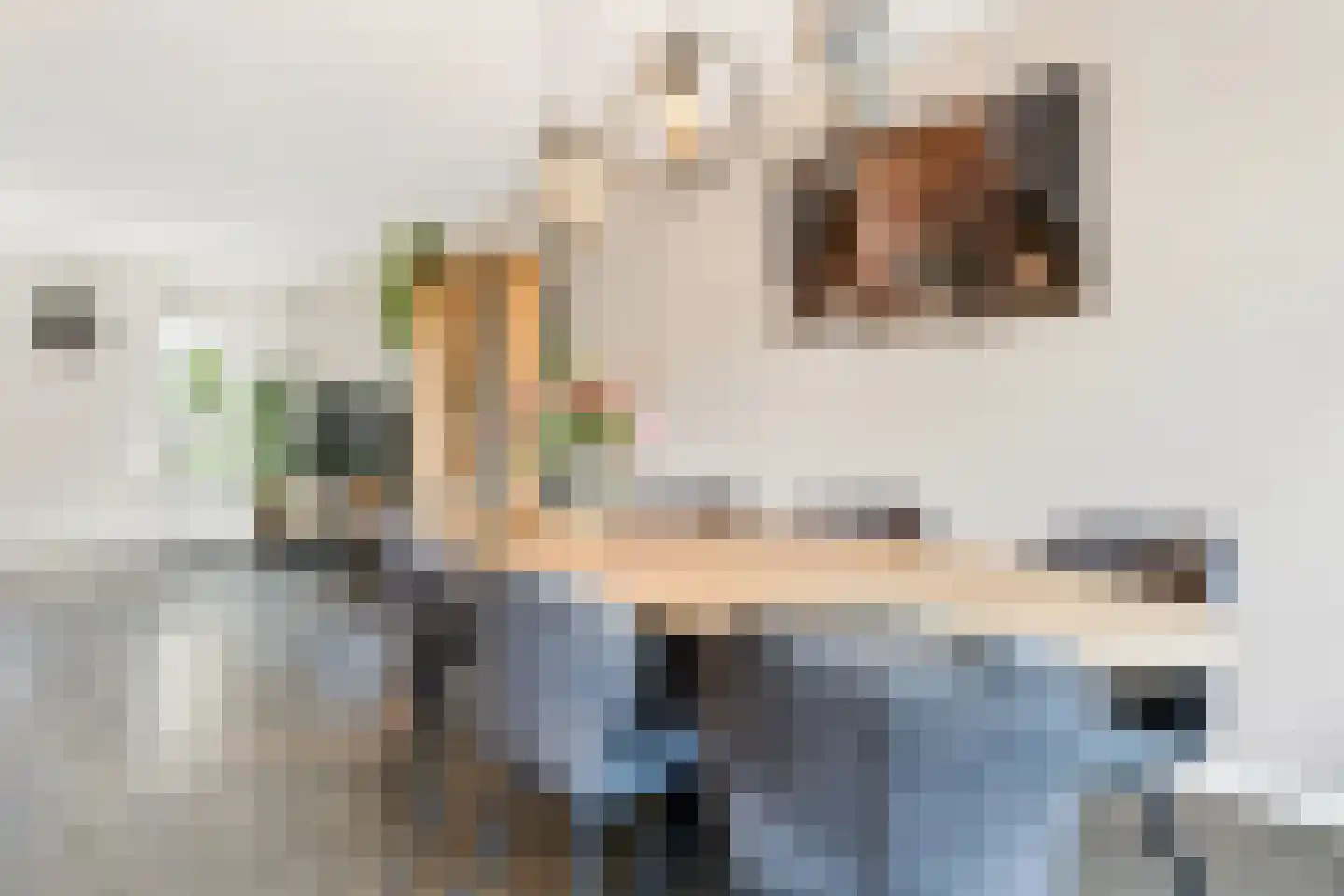 Havezatestraat 35 Tubbergen thumbnail 14