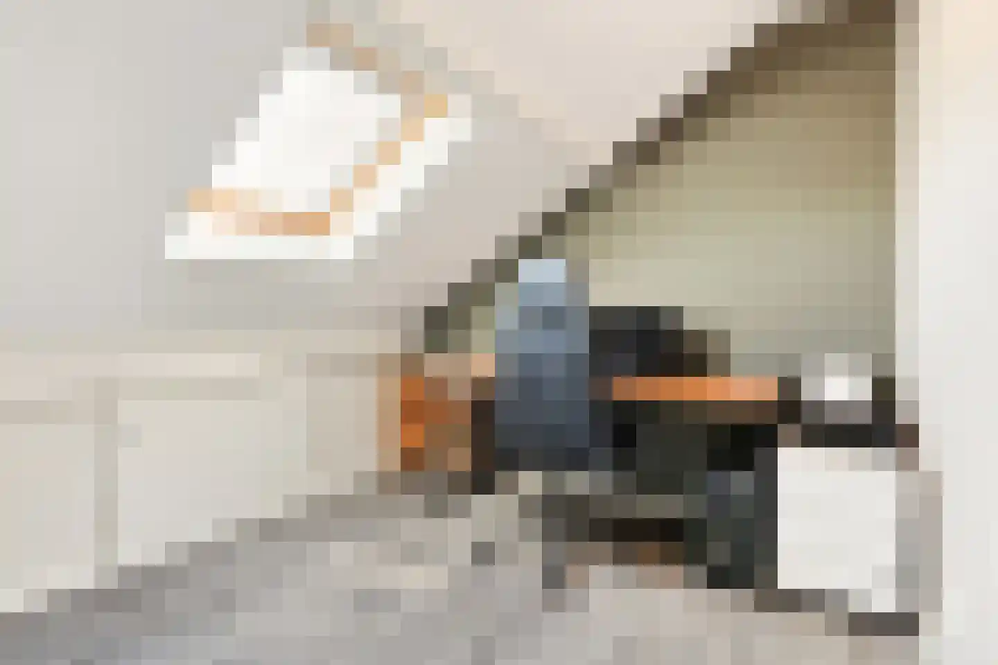 Havezatestraat 35 Tubbergen thumbnail 31