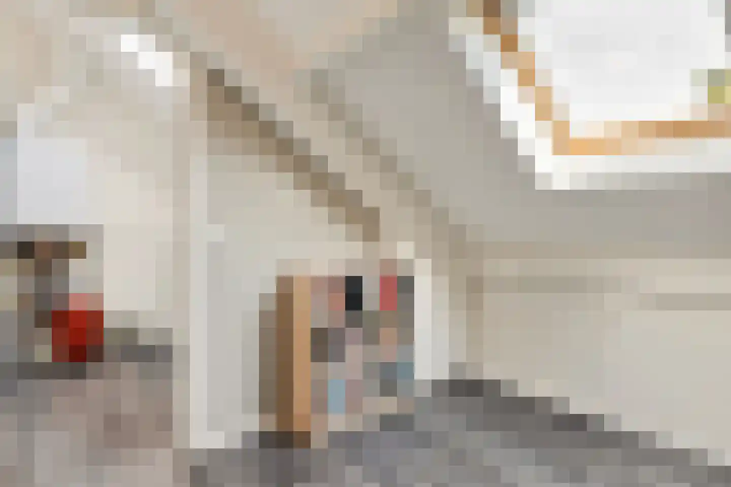 Havezatestraat 35 Tubbergen thumbnail 32