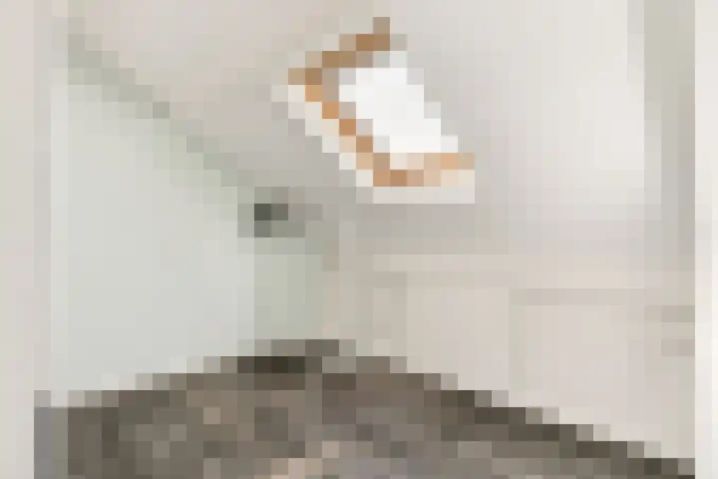 Havezatestraat 35 Tubbergen thumbnail 33