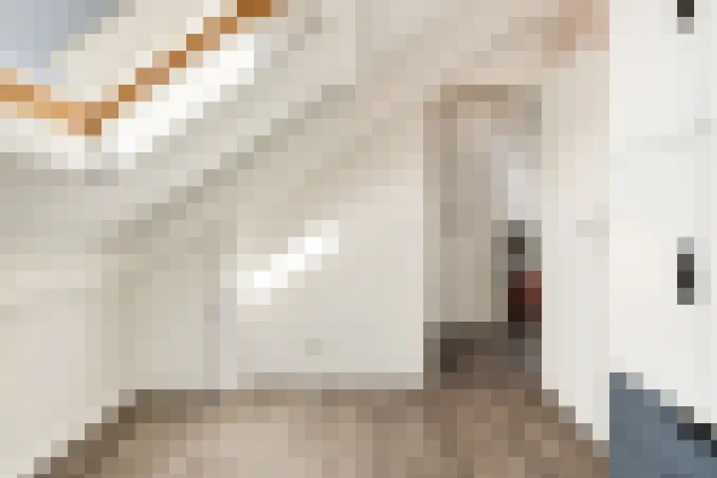 Havezatestraat 35 Tubbergen thumbnail 34