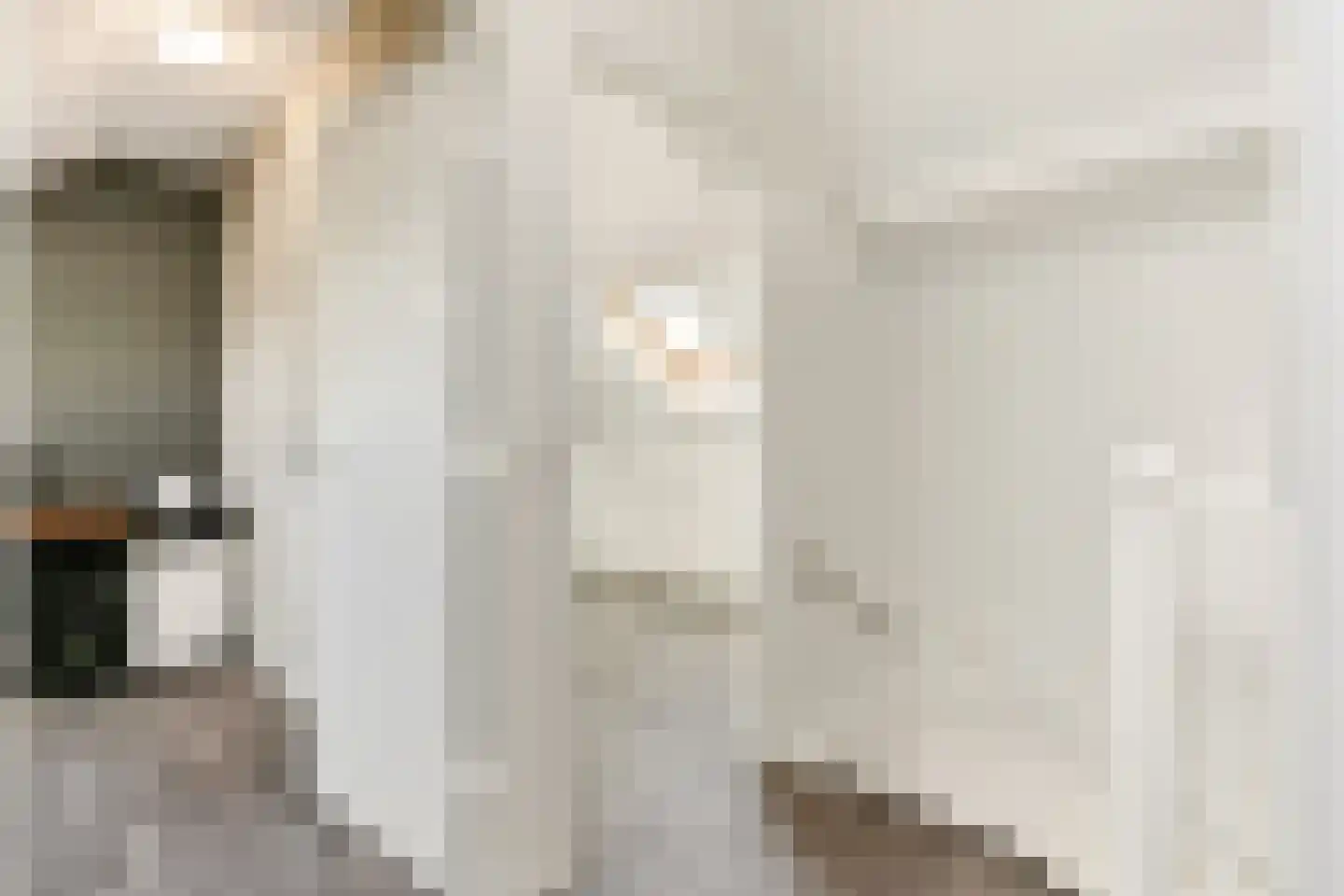 Havezatestraat 35 Tubbergen thumbnail 35