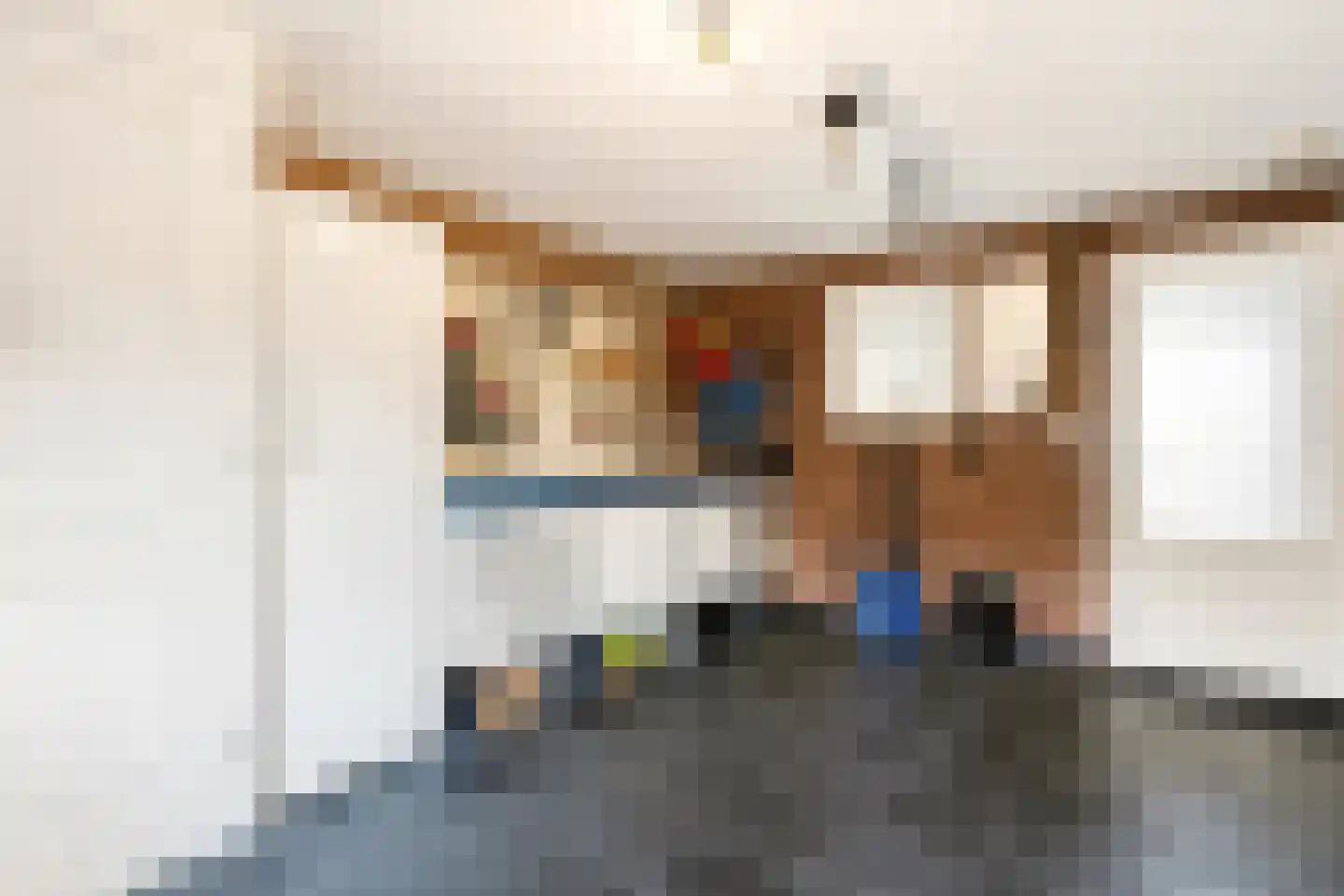 Havezatestraat 35 Tubbergen thumbnail 37