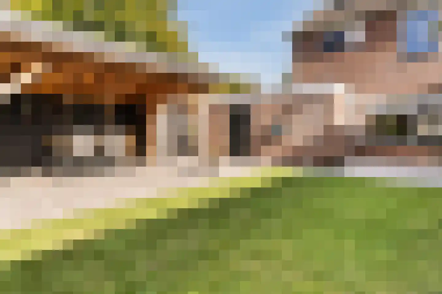 Havezatestraat 35 Tubbergen thumbnail 41