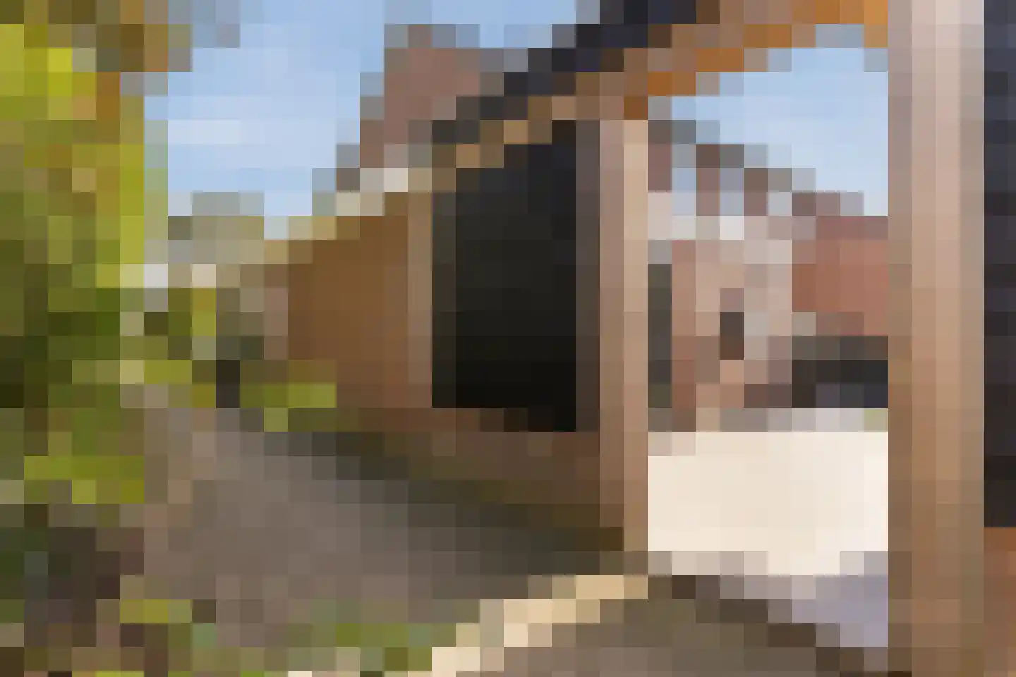 Havezatestraat 35 Tubbergen thumbnail 43