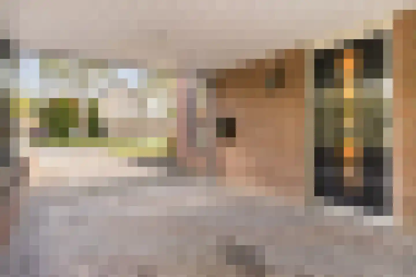 Havezatestraat 35 Tubbergen thumbnail 7