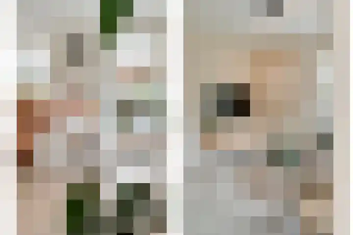 Havezatestraat 37 Tubbergen thumbnail 10