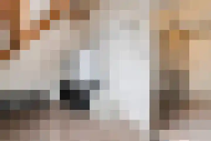 Havezatestraat 37 Tubbergen thumbnail 22