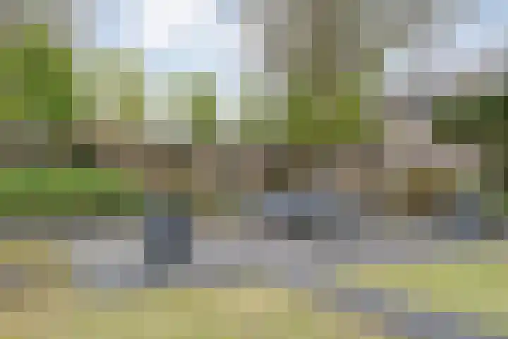 Havezatestraat 37 Tubbergen thumbnail 24