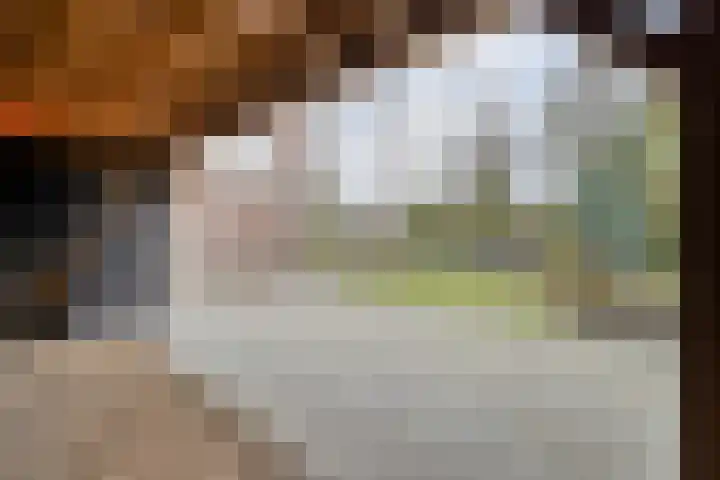 Havezatestraat 37 Tubbergen thumbnail 25