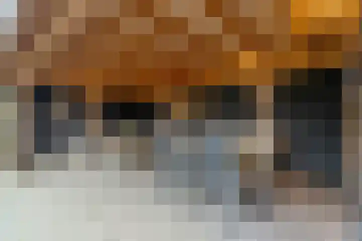 Havezatestraat 37 Tubbergen thumbnail 27
