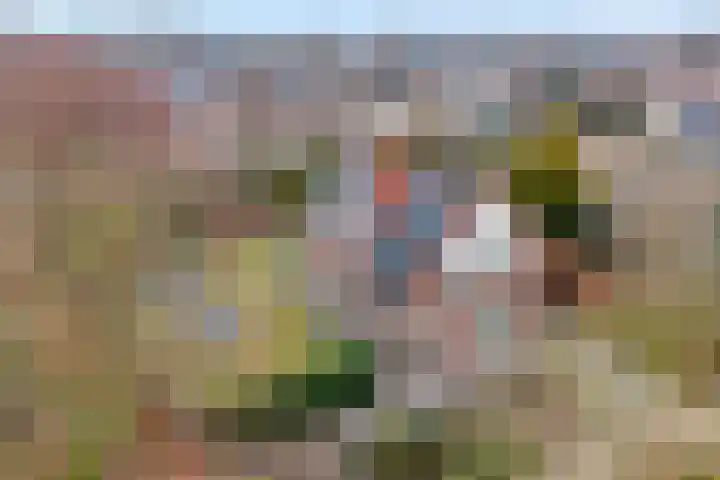 Havezatestraat 37 Tubbergen thumbnail 28