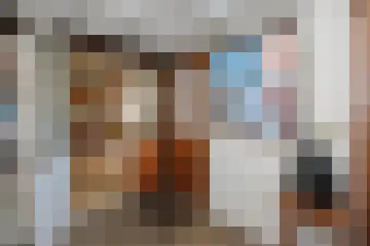 Havezathe 26 Almelo thumbnail 11