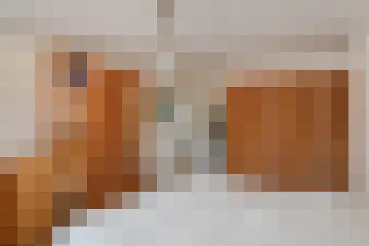 Havezathe 26 Almelo thumbnail 17