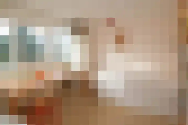 Havezathe 26 Almelo thumbnail 19