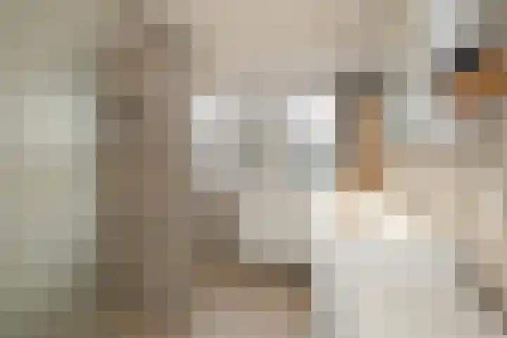Havezathe 26 Almelo thumbnail 21